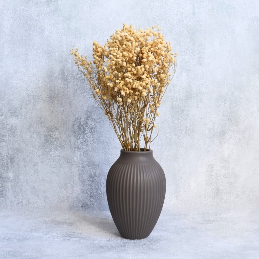 Stabilizovaná Gypsophila Nevěstin závoj bílá – elegantní květina do aranžmá